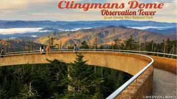 Hollywood In The Hills